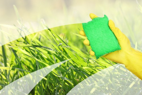 Professional carpet cleaning in Chislehurst living room