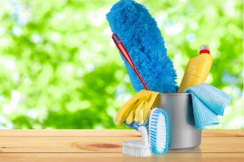 Professional pet stain odour removal in a Chislehurst home carpet