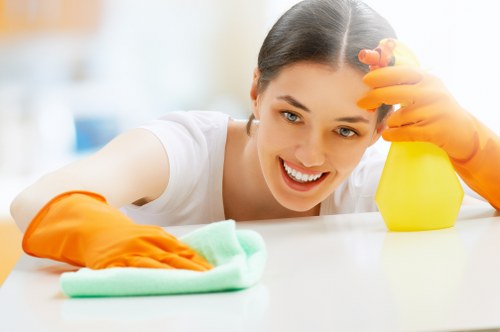 Illustration representing essential cookie usage on a carpet cleaning website