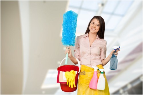 Steam carpet cleaning service in a family home setting