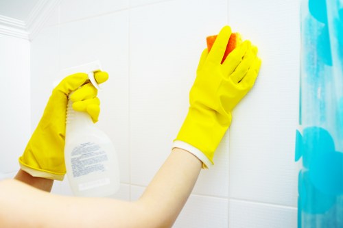 Cleaner inspecting a carpet before treatment