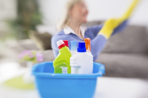 Professional carpet cleaner using insured equipment during a safe cleaning visit