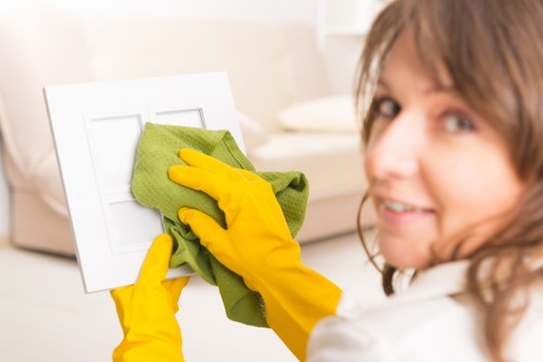 Close-up of dust and allergens removed from a mattress