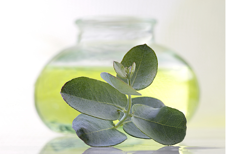cleaning services Eco-friendly